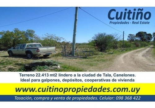 Terreno 22.413 Mt2 En Tala Ideal Empresas O Cooperativas De Viviendas 