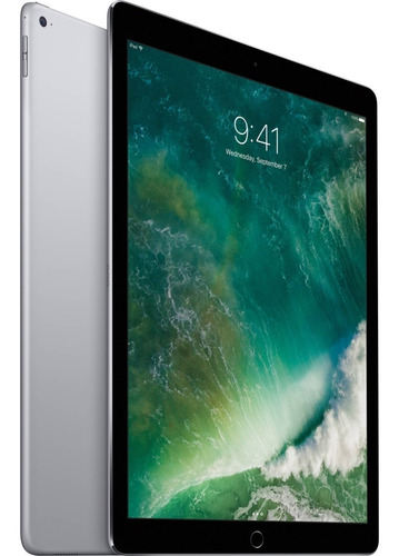 iPad Pro 9.7  256gb Wifi 4g Celular Space Gray Negro