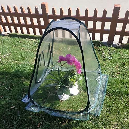 Mini Invernadero Pequeño Para Plantas Al Aire Libre Interior