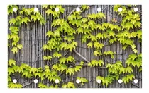 Comprar Lonas Vinílicas Con Ojales Para Cerramiento Balcones Y Rejas