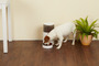 Primera imagen para búsqueda de recipiente para comida mascotas