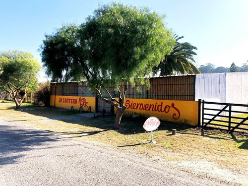 Imagen 7 de 30 de Colonia Del Sacramento, Ferrando- Conjunto De Propiedades