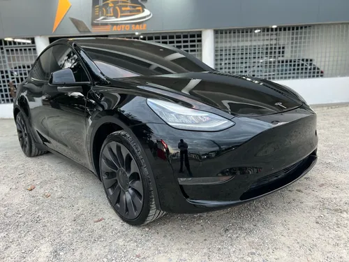 Tesla Model Y Performance 2021