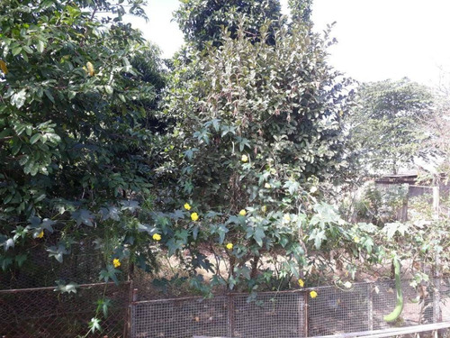 Chácara No Vila União Em Campinas / Sp. - Ch0396