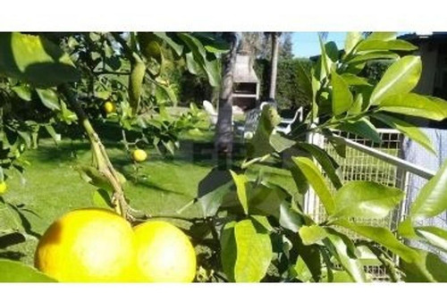 Imagen 24 de 30 de Country Los Molinos - Excelente Propiedad En Venta