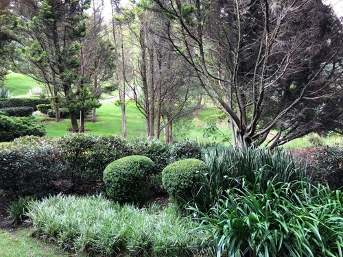 Imagen 16 de 22 de Se Vende Terreno En Bosque Real!!