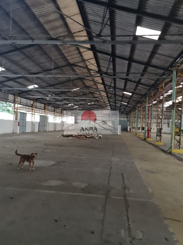 Imagem 5 de 6 de Vendo Galpão 5.000 M² Em Terreno 15.000 M² Bonsucesso!! - 299