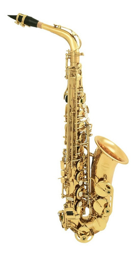 Amw Custom Saxofone Alto Laqueado Eb Mi Bemol + Case . Loja