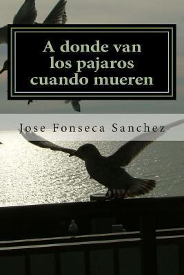 Libro A Donde Van Los Pajaros Cuando Mueren