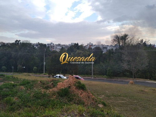 Imagem 8 de 30 de Terreno - Te00307 - 69917877