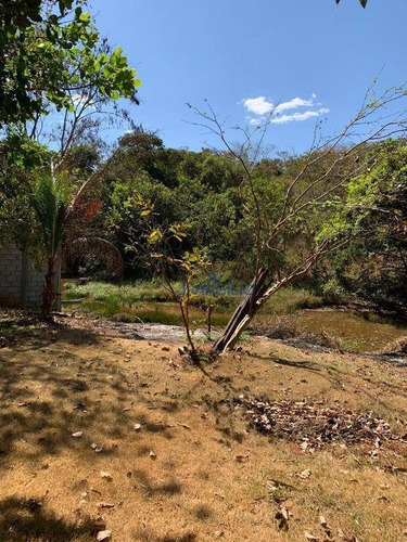 Imagem 9 de 25 de Chácara Recreio Samambaia - Ch0028
