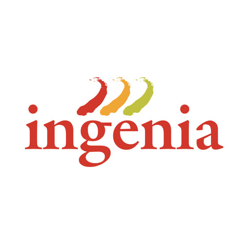 Membrana Asfaltica Aluminio Ingenia 40kg