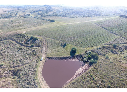 Exte. Establecimiento En La Sierra