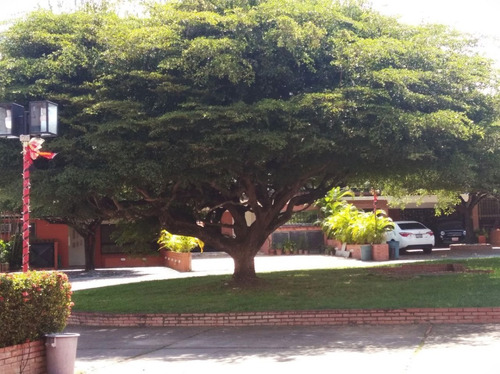 Imagen 30 de 30 de Town House En Urb. Los Olivos, Conj. Res. La Oliveña. Puerto Ordaz