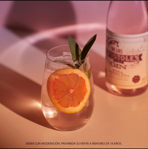 Imagen 2 de 5 de Gin Príncipe De Los Apóstoles Rosa Mosqueta - Sufin