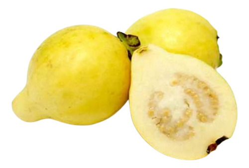 1 Chabacano , 1 Durazno , 1 Guayaba Y 1 Magnolia Blanca