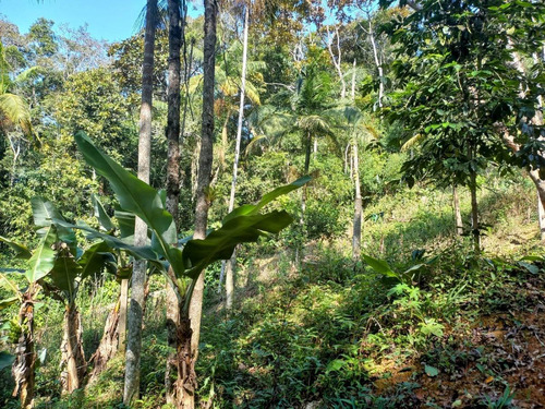 Imagem 4 de 6 de Ótimo Para Moradia 800 M² Sinal De Celular Ótimo Acesso