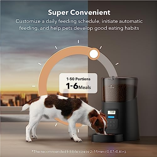 Alimentador Automático Gatos 6l Dispensador Automátic...