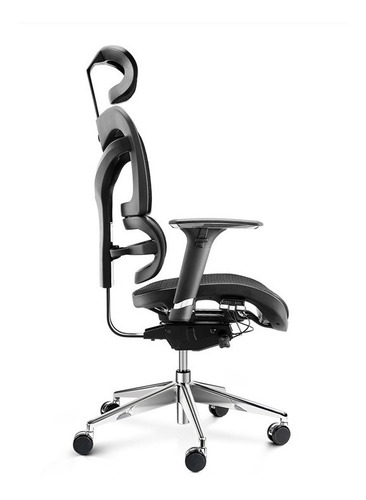 Imagen 3 de 5 de Silla Presidencial Ergohuman Giratoria Ajustable Base Cromo