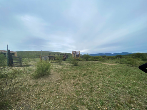 Rancho En Venta En Villa Hidalgo Durango