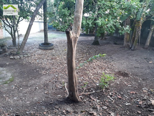 Imagem 3 de 9 de Terreno A Venda . - 352-1