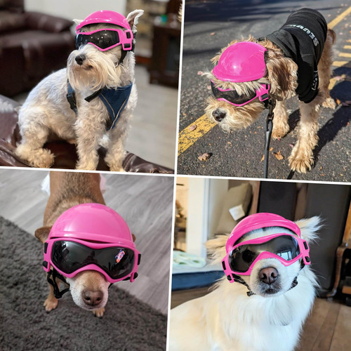 Casco Para Perro Petleso Con Gafas Lentes Anti-uv Modelo 202 Rosado