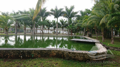 Rancho En Venta En  Leona Vicario Cancun Ihzl4224