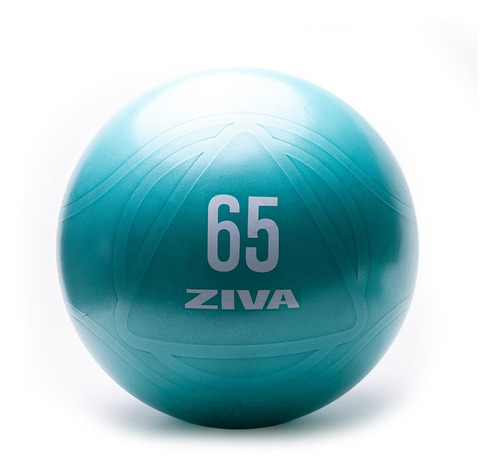 Set Kit Funcional Ziva Mancuernas Gym Ball 65 Cm Soga