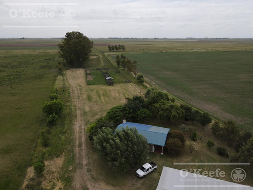 Campo Mixto En Venta En Chivilcoy 60 % Agrícola - Armado