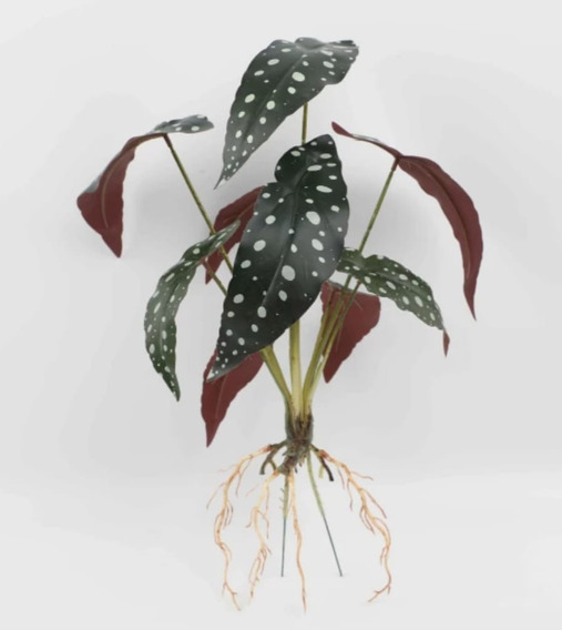Planta Begonia Artificial Con Raíz, En Tacto Natural | MercadoLibre