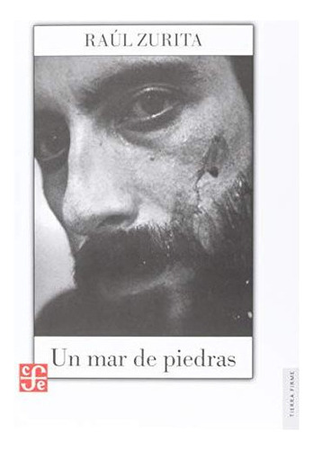 Un Mar De Piedras, De Zurita, Raúl. Editorial Fondo De Cultura Económica, Tapa Blanda En Español