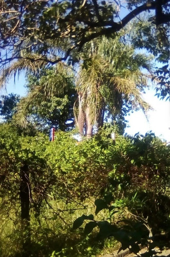 Imagen 8 de 15 de Alquiler De Casa Balneario Cuchilla Alta