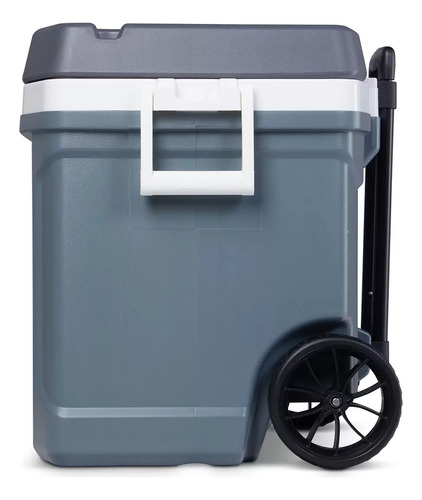 Igloo Hielera Max Cold Latitud De 58.6l Con Ruedas Msi