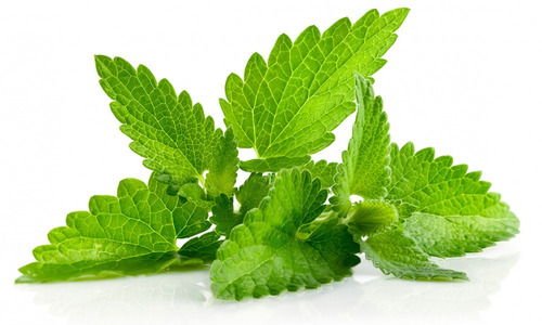 Aceite Esencial 15 Ml. - Sinergia Menta