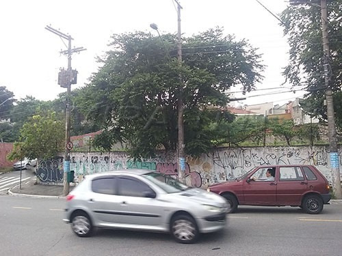 Imagem 2 de 3 de Terreno Em Imirim - São Paulo, Sp - 174824