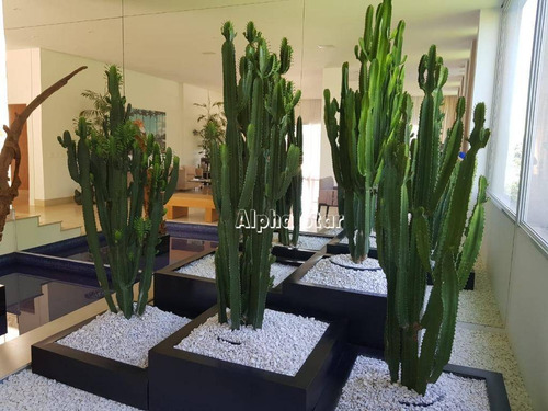 Imagem 12 de 19 de Casa Com 4 Dormitórios À Venda, 1350 M² Por R$ 8.000.000 - Tamboré 01 - Barueri/sp - Ca3509