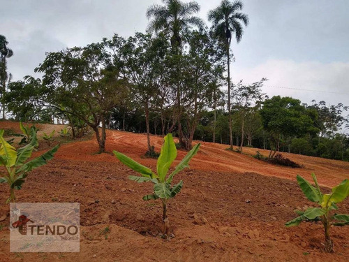 Imagem 5 de 15 de Terreno À Venda, 7500 M² Por R$ 400.000,00 - Chácara Estância Paulista - Suzano/sp - Te0328