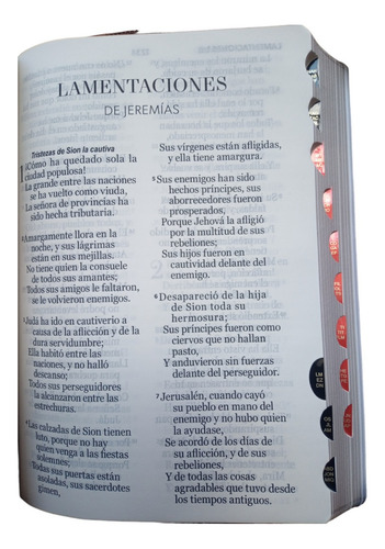 Biblia Rvr1960 Juvenil 11 Puntos Dama C/c E Indice 3 Tonos
