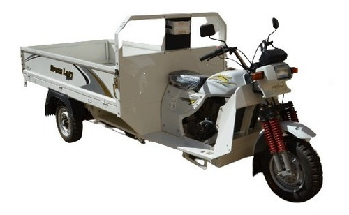 Imagen 3 de 25 de Triciclo De Trabajo 300cc Scooter Cargo Ideal Trabajo Gaf