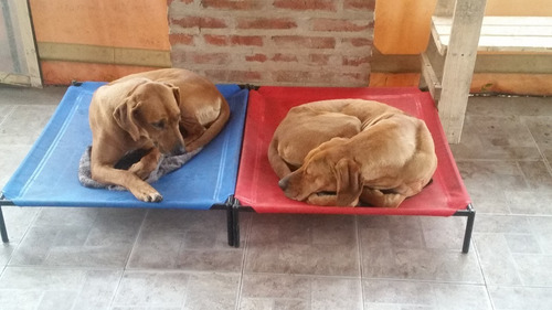 Lona De Repuesto P/ Catre P/ Mascotas Tamaño Grande