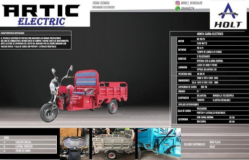 Tricargo Holt Artic Electric Motocarga Utilitario Sunra 0km