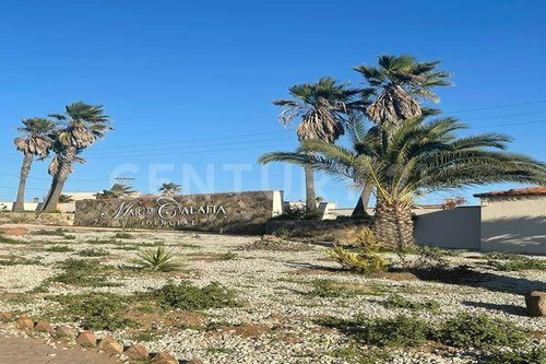 Terreno En Venta En Rosarito