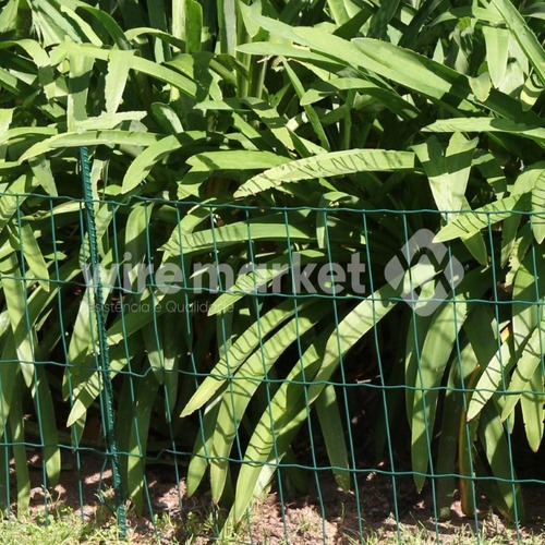 Imagem 5 de 5 de Tela Cerca Decorativa Para Jardim Horta Verde 5 X 0,45m
