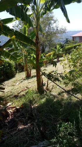 Vendo Hermoso Lote En Conjunto Cerrado En Silvania, Cundinamarca