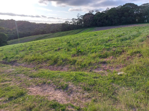 Imagem 6 de 13 de K.a Terreno Em Sp - Venha Conferir Preços