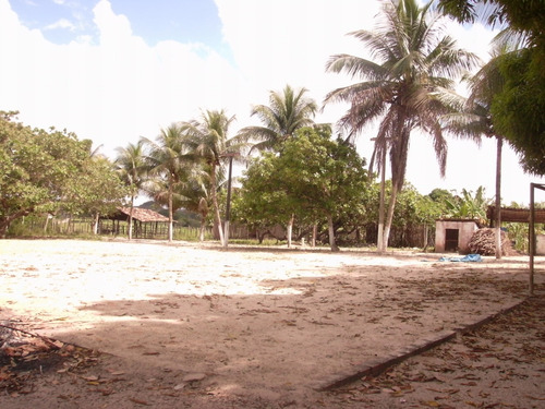 Imagem 13 de 14 de Vende-se Chácara No Centro De Alagoinhas