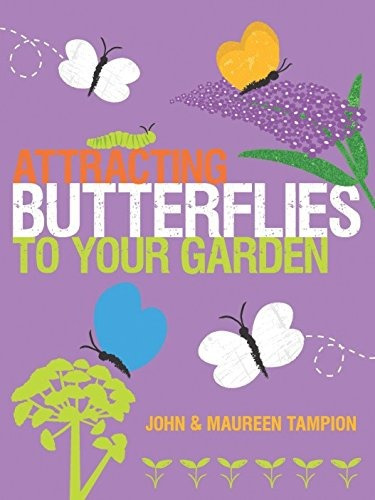 Atrayendo Mariposas A Tu Jardin