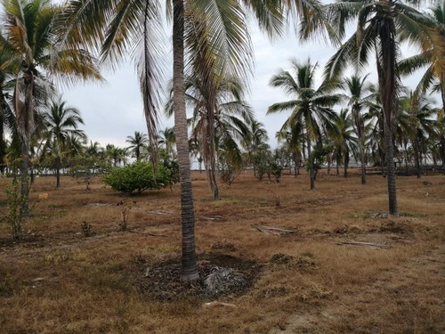 Imagen 3 de 3 de Terreno Comercial En Venta Los Mogotes Pie De La Cuesta