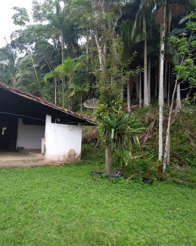 Imagem 21 de 30 de Sítio - 0194 - 32820423