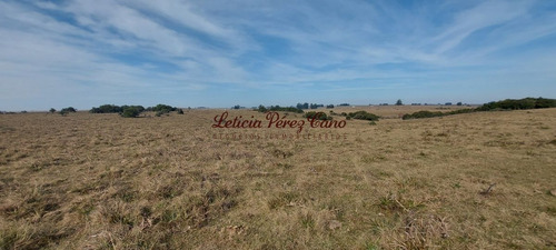 Imagen 8 de 23 de Venta De Chacra 19 Has En San Carlos, Maldonado